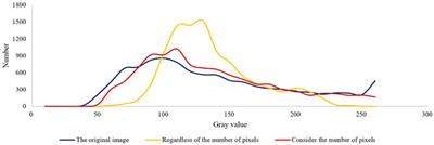 Multitemporal SAR image despeckling based on non-local theory